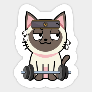 Cute siamese cat is exercising Sticker
